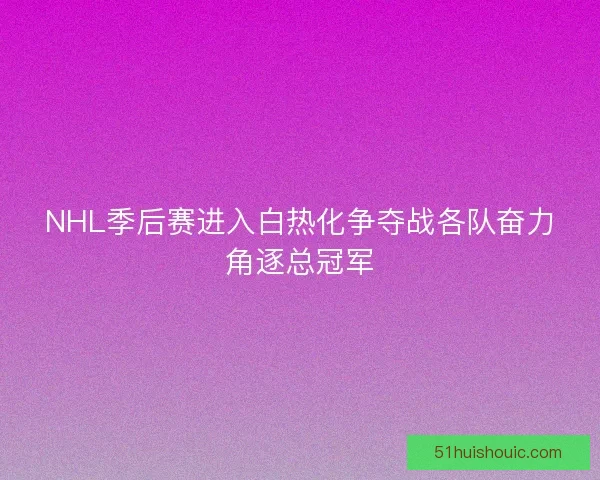 NHL季后赛进入白热化争夺战各队奋力角逐总冠军