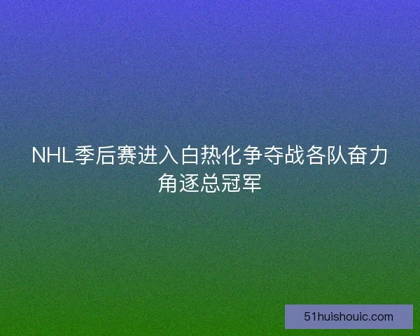 NHL季后赛进入白热化争夺战各队奋力角逐总冠军
